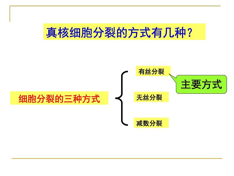 6.1细胞的增殖——有丝分裂课件高一生物人教版必修一02