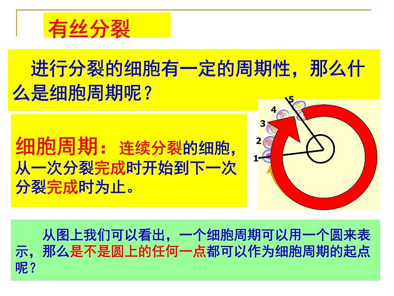 6.1细胞的增殖——有丝分裂课件高一生物人教版必修一03