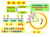 6.1细胞的增殖——有丝分裂课件高一生物人教版必修一