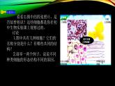 人教版生物必修一  1.2细胞的多样性和统一性课件PPT