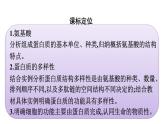 2021-2022学年高中生物新教材人教版必修1  第2章 第4节 蛋白质是生命活动的主要承担者 课件（58张）