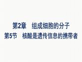 2021-2022学年高中生物新教材人教版必修1  第2章 第5节 核酸是遗传信息的携带者 课件（40张）