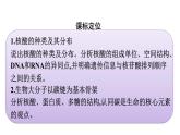 2021-2022学年高中生物新教材人教版必修1  第2章 第5节 核酸是遗传信息的携带者 课件（40张）