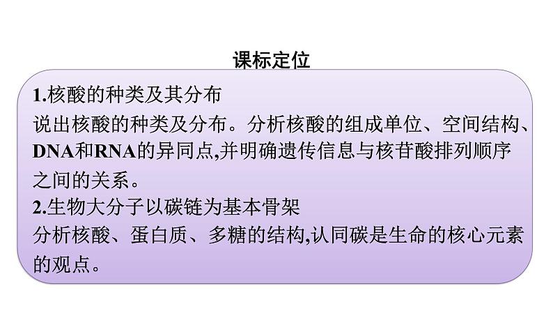 2021-2022学年高中生物新教材人教版必修1  第2章 第5节 核酸是遗传信息的携带者 课件（40张）03