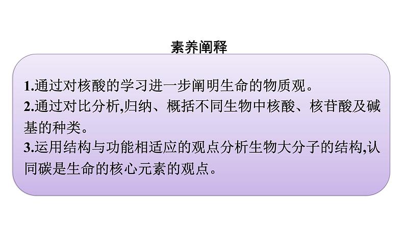 2021-2022学年高中生物新教材人教版必修1  第2章 第5节 核酸是遗传信息的携带者 课件（40张）04