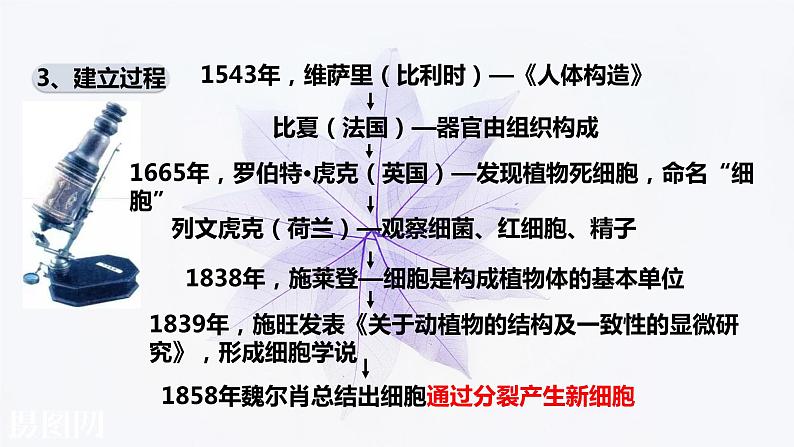 2021-2022学年高中生物新人教版必修1  1.1细胞是生命活动的基本单位 课件（26张）第7页