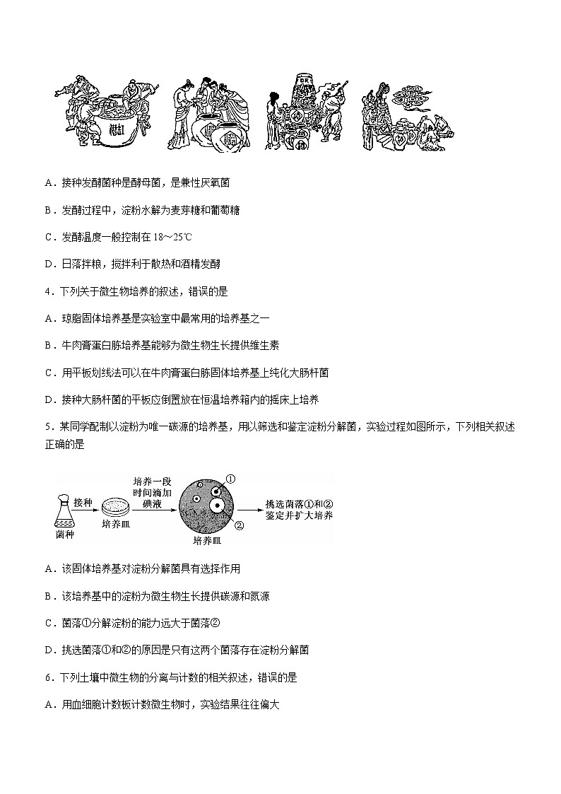 河南省商周联盟2020-2021学年高二下学期6月联考生物试题+Word版含答案02
