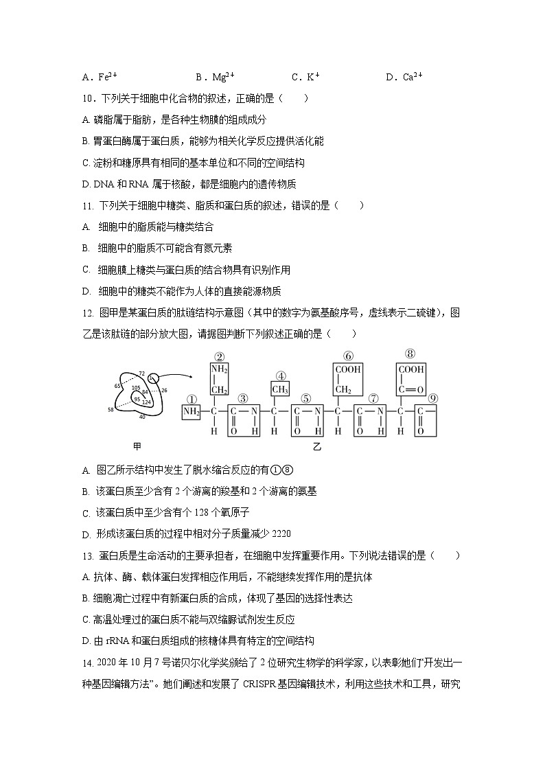 2020-2021学年吉林省长春市十一高中高二下学期第三学程考试生物试题 Word版03