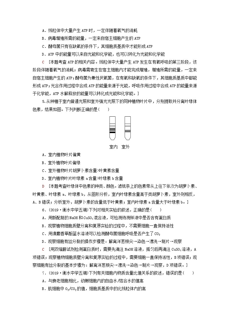 新课标2020年普通高等学校招生统一考试生物模拟卷6第2页
