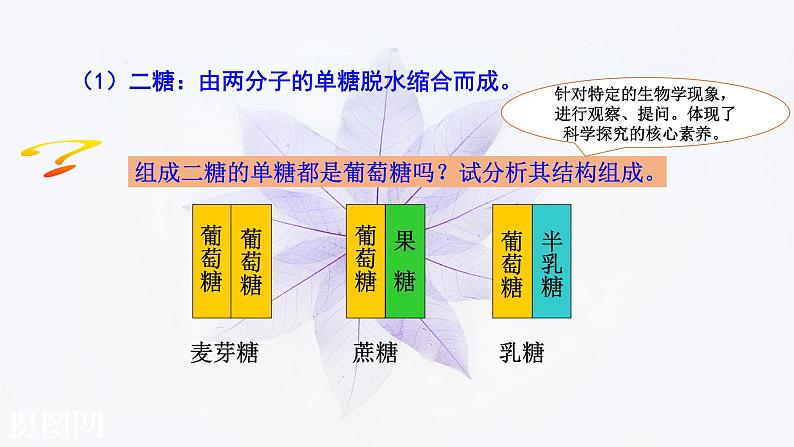 2021-2022学年高中生物新人教版必修1  2.3细胞中的糖类和脂质 课件（27张）08