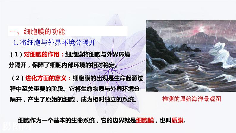 2021-2022学年高中生物新人教版必修1  3.1细胞膜的结构和功能 课件（35张）第5页