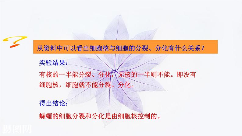 2021-2022学年高中生物新人教版必修1  3.3细胞核的结构和功能 课件（36张）第8页