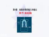 2021-2022学年高中生物新人教版必修1  4.1被动运输 课件（42张）