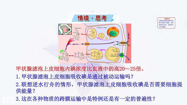 2021-2022学年高中生物新人教版必修1  4.2主动运输与胞吞胞吐 课件（23张）02