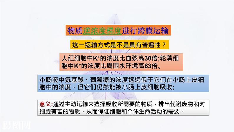 2021-2022学年高中生物新人教版必修1  4.2主动运输与胞吞胞吐 课件（23张）05