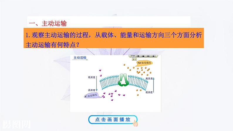 2021-2022学年高中生物新人教版必修1  4.2主动运输与胞吞胞吐 课件（23张）06