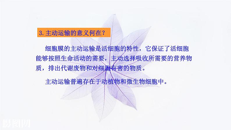 2021-2022学年高中生物新人教版必修1  4.2主动运输与胞吞胞吐 课件（23张）08