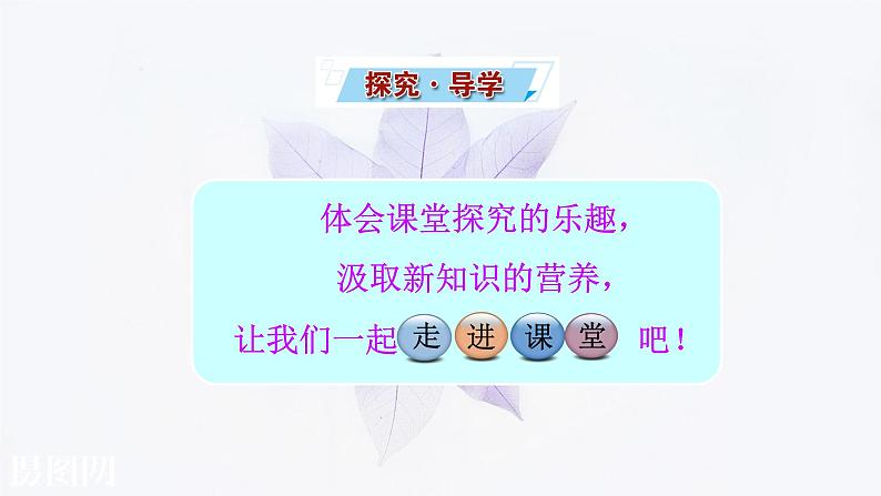 光合作用的原理和应用PPT课件免费下载05