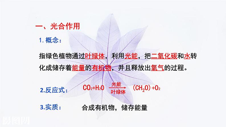 光合作用的原理和应用PPT课件免费下载06