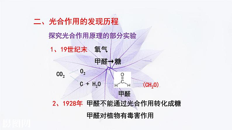 光合作用的原理和应用PPT课件免费下载07