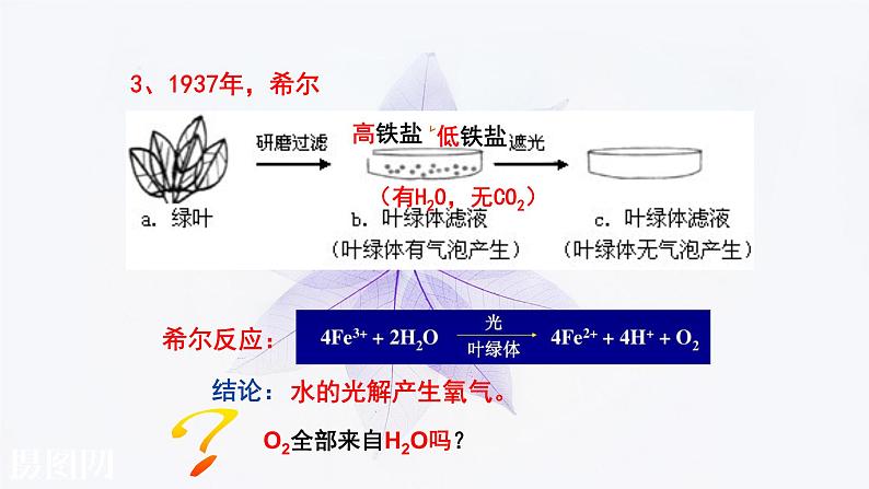 光合作用的原理和应用PPT课件免费下载08