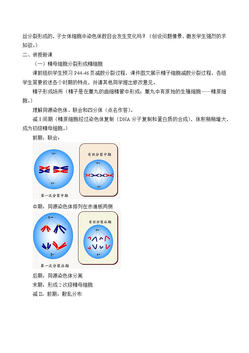 北师大版（2019）高中生物必修二 3.2减数分裂与配子形成 教案第2页