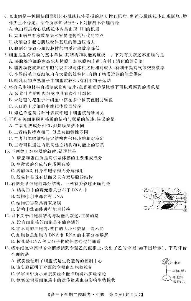2021届黑龙江省大庆市肇州县高三下学期二校联考生物试题 PDF版02