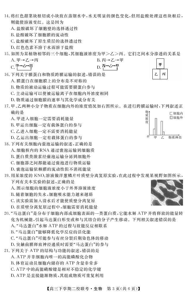 2021届黑龙江省大庆市肇州县高三下学期二校联考生物试题 PDF版03