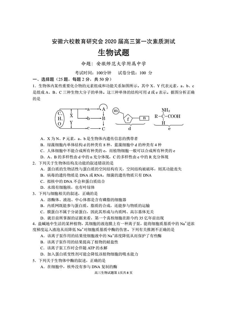 2020届安徽省合肥一中、安庆一中等六校教育研究会高三上学期第一次素质测试生物试题 PDF版01