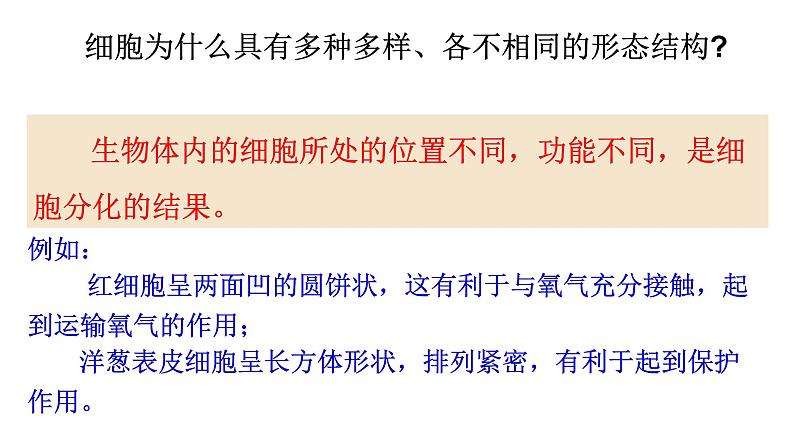 1.2 细胞的多样性和统一性 课件 人教新版生物必修1第3页