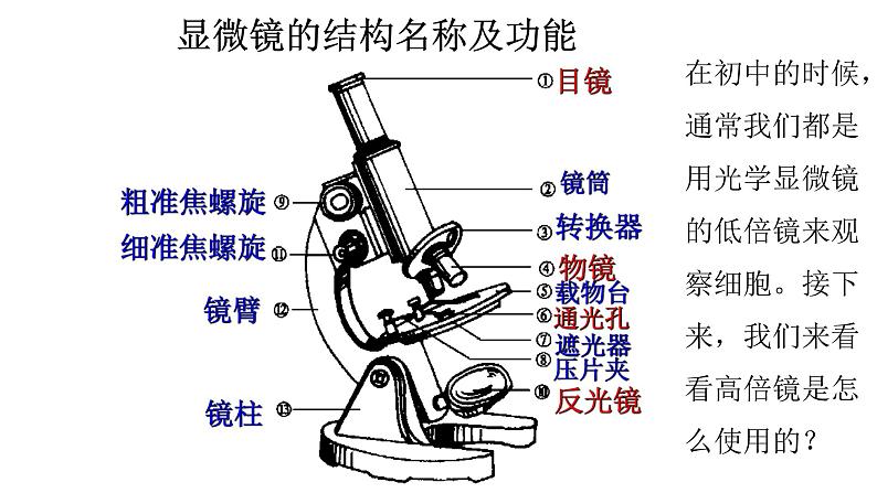 1.2 细胞的多样性和统一性 课件 人教新版生物必修1第5页