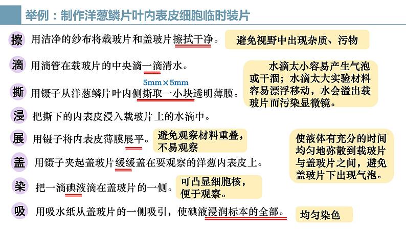 1.2 细胞的多样性和统一性 课件 人教新版生物必修1第7页