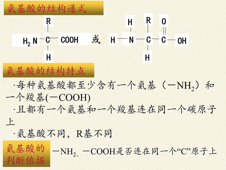 高中生物必修一课件-2.2.4蛋白质的结构和功能1-苏教版第6页