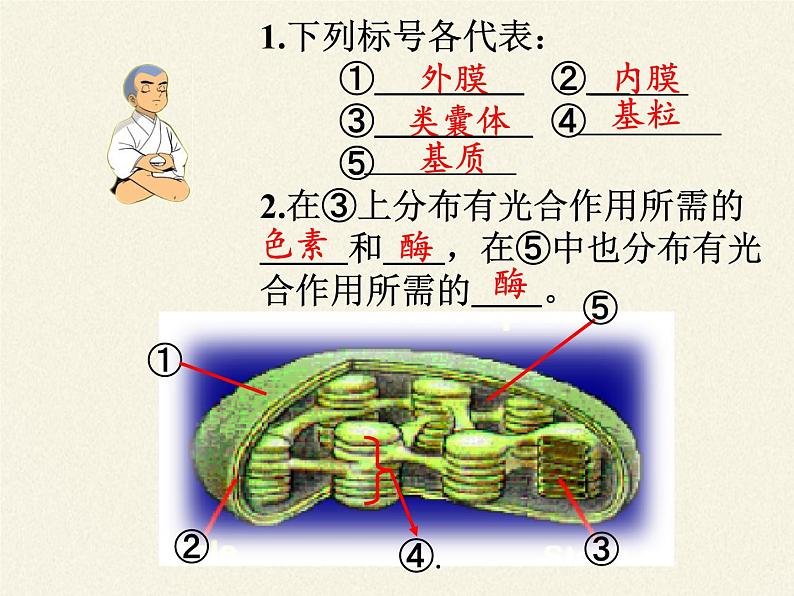 高中生物必修一课件-4.2.2光合作用的过程4-苏教版03