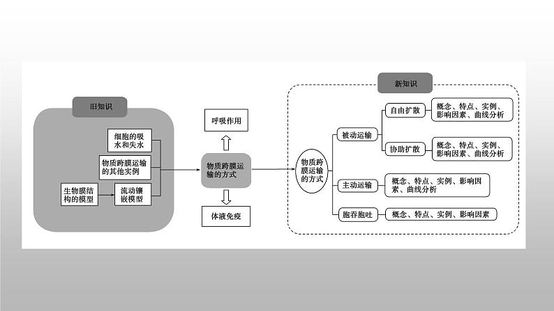 2020年人教版生物必修1 4.3  物质跨膜运输的方式  课件第3页