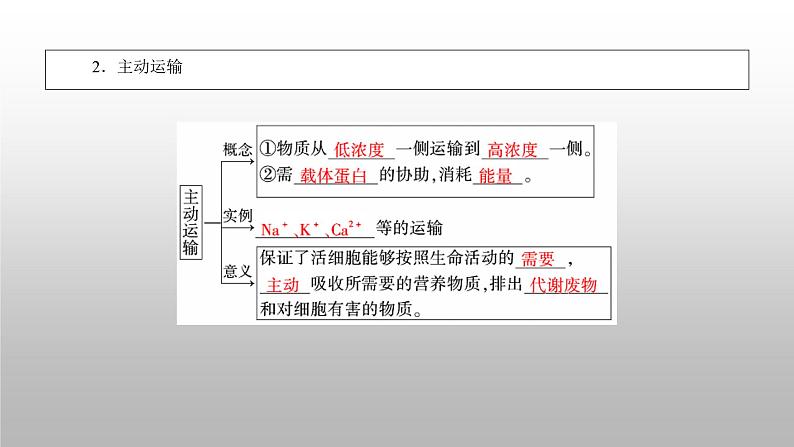 2020年人教版生物必修1 4.3  物质跨膜运输的方式  课件第7页