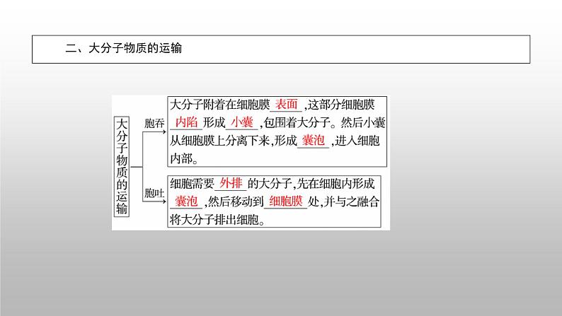 2020年人教版生物必修1 4.3  物质跨膜运输的方式  课件第8页