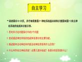 2.1神经调节的结构基础 课件 人教新版生物选择性必修第一册