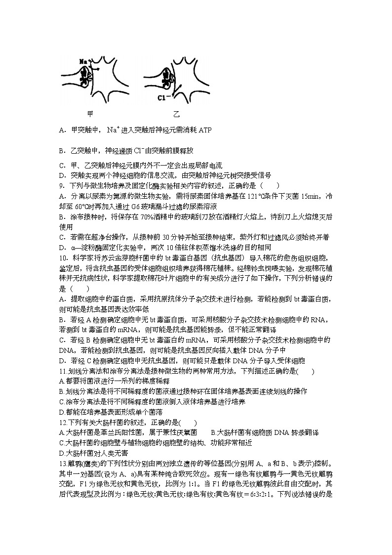 浙江省诸暨市第二高级中学2020-2021学年高二下学期期中考试生物试题+Word版含答案02