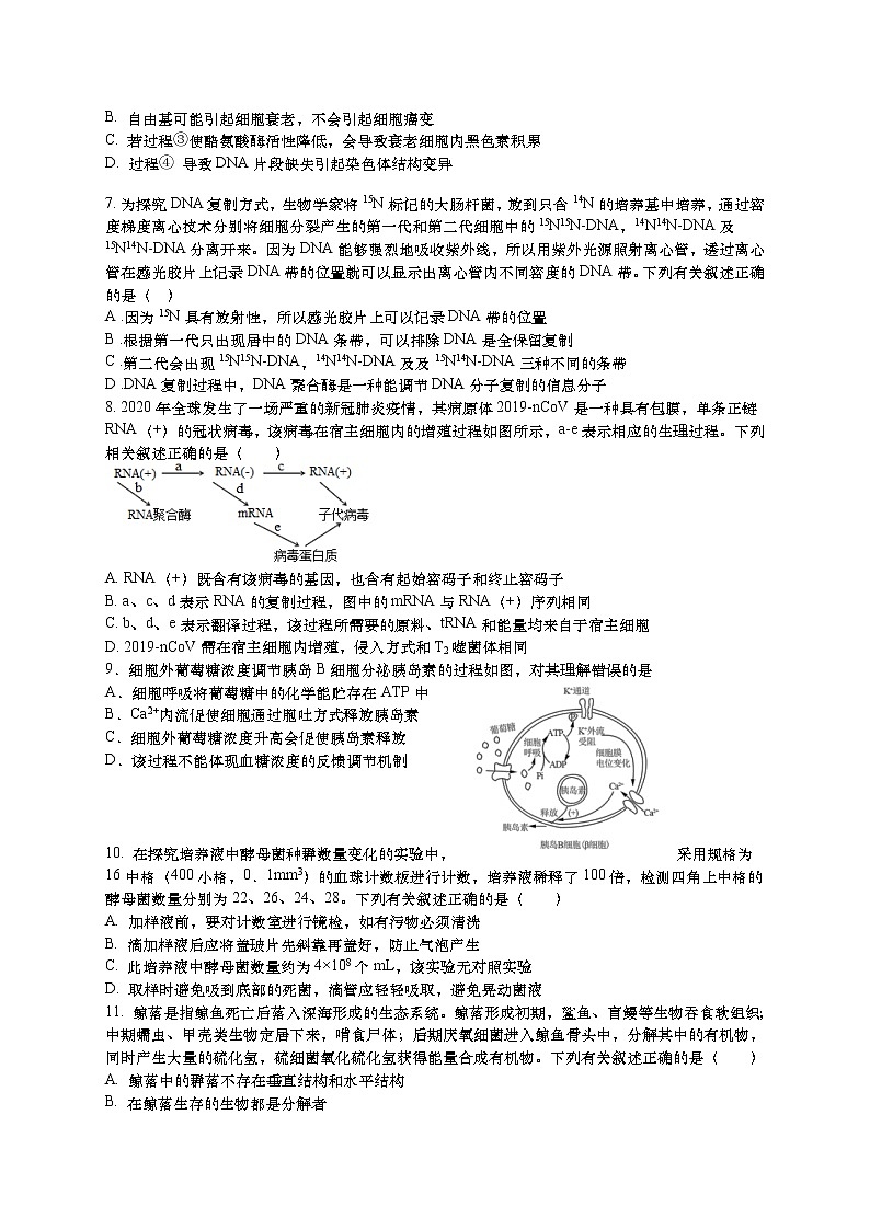 江苏省如皋中学2022届高三上学期期初测试生物试题+Word版含答案02