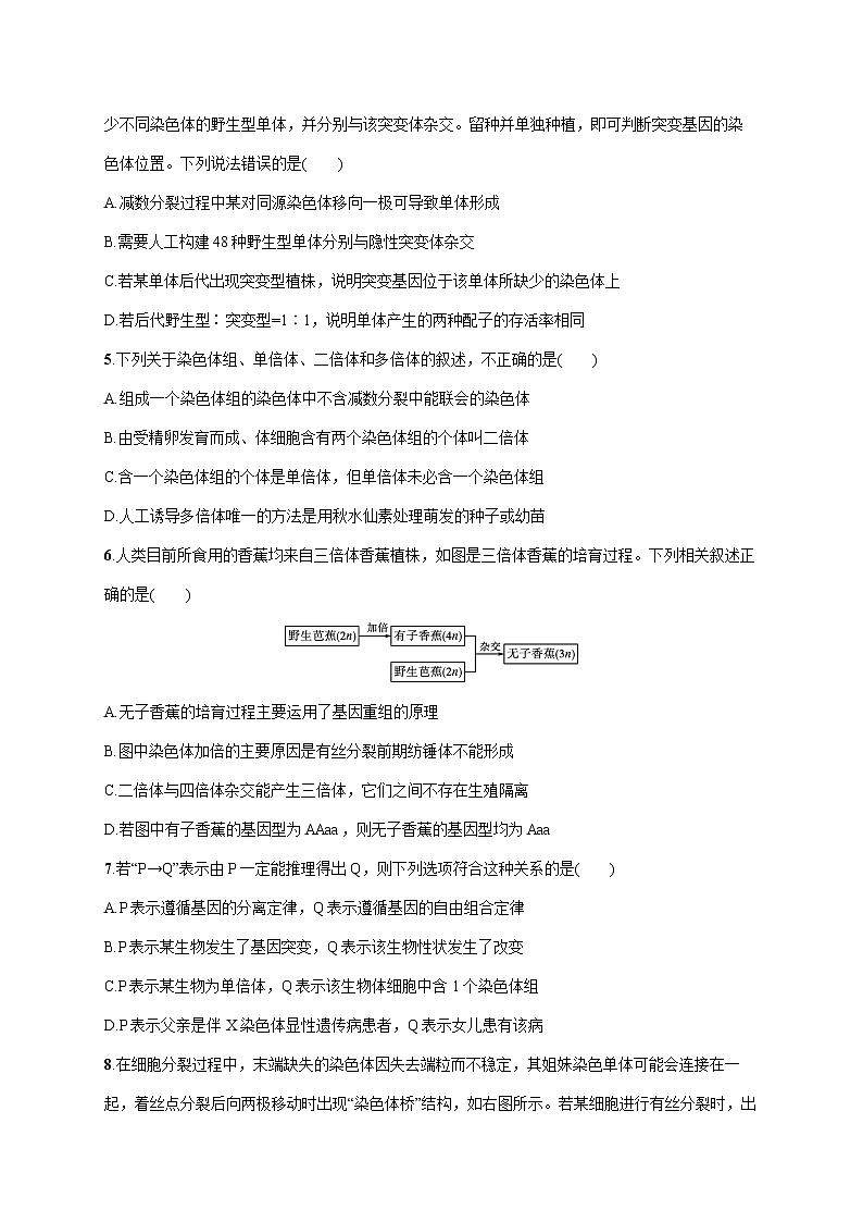 2022届高考生物一轮总复习  单元质检卷七　生物的变异和进化02