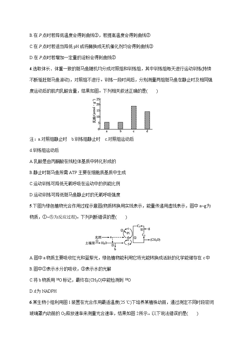 2022届高考生物一轮总复习  单元质检卷三　细胞的代谢第2页