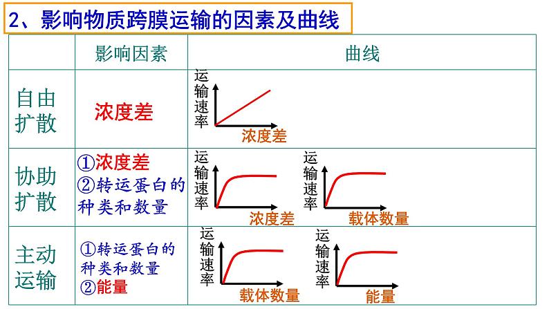 4.2 主动运输与胞吞、胞吐课件PPT05