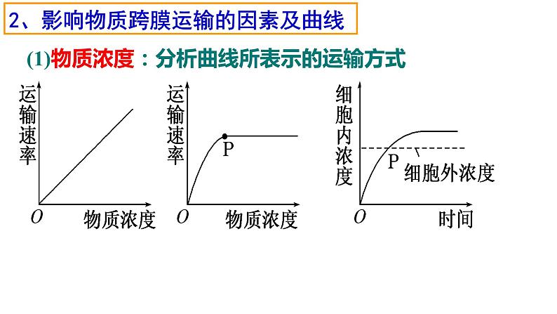 4.2 主动运输与胞吞、胞吐课件PPT06