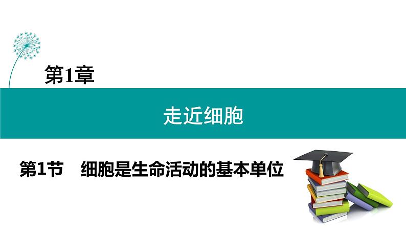 1.1细胞是生命活动的基本单位课件PPT01