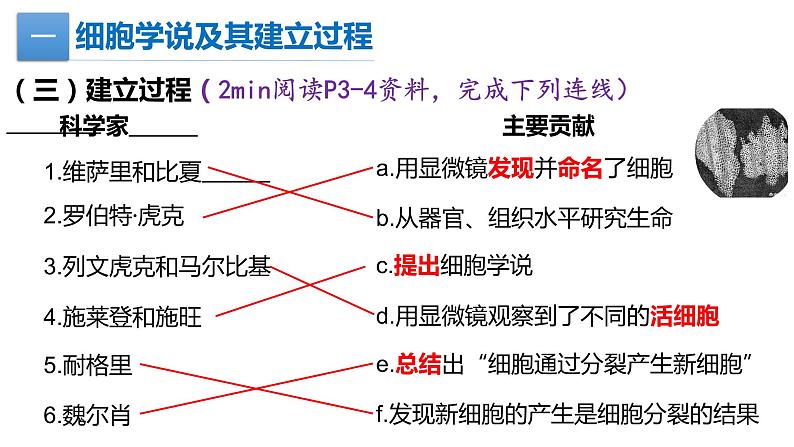 1.1细胞是生命活动的基本单位课件PPT04