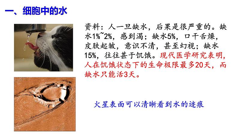 2.2  细胞中的无机物课件PPT03