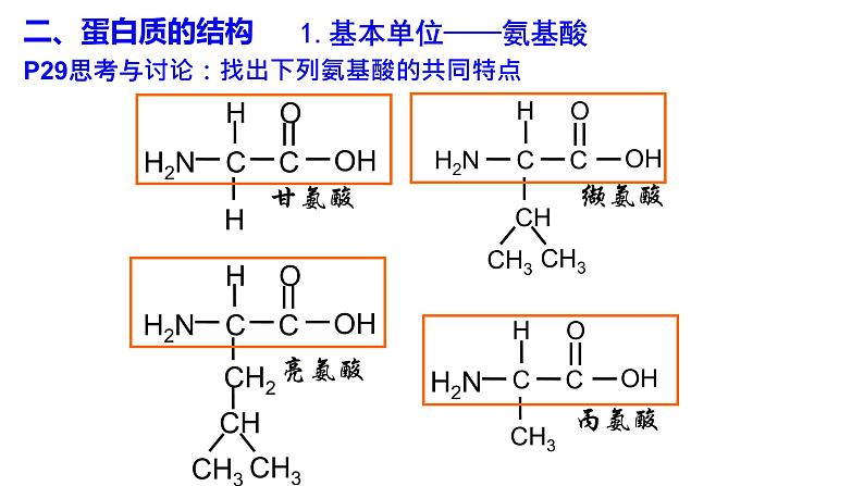 2.4蛋白质是生命活动的主要承担者课件PPT04