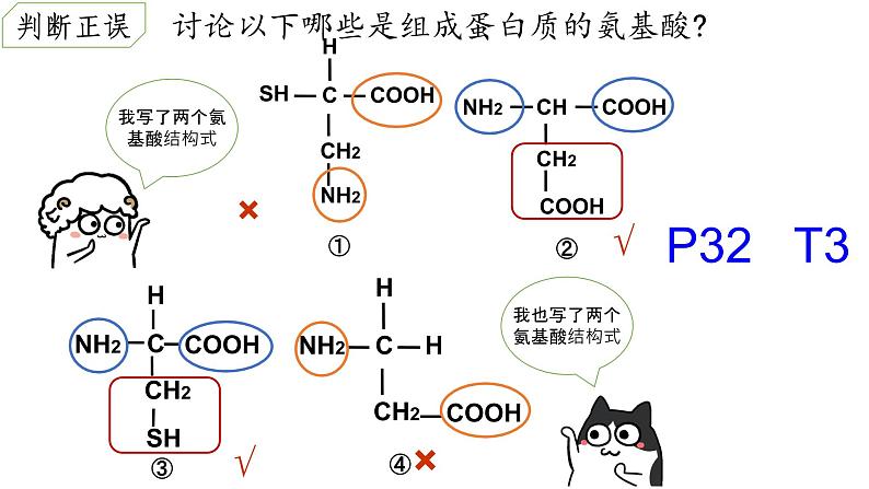 2.4蛋白质是生命活动的主要承担者课件PPT06