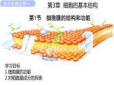 3.1细胞膜的结构和功能课件PPT